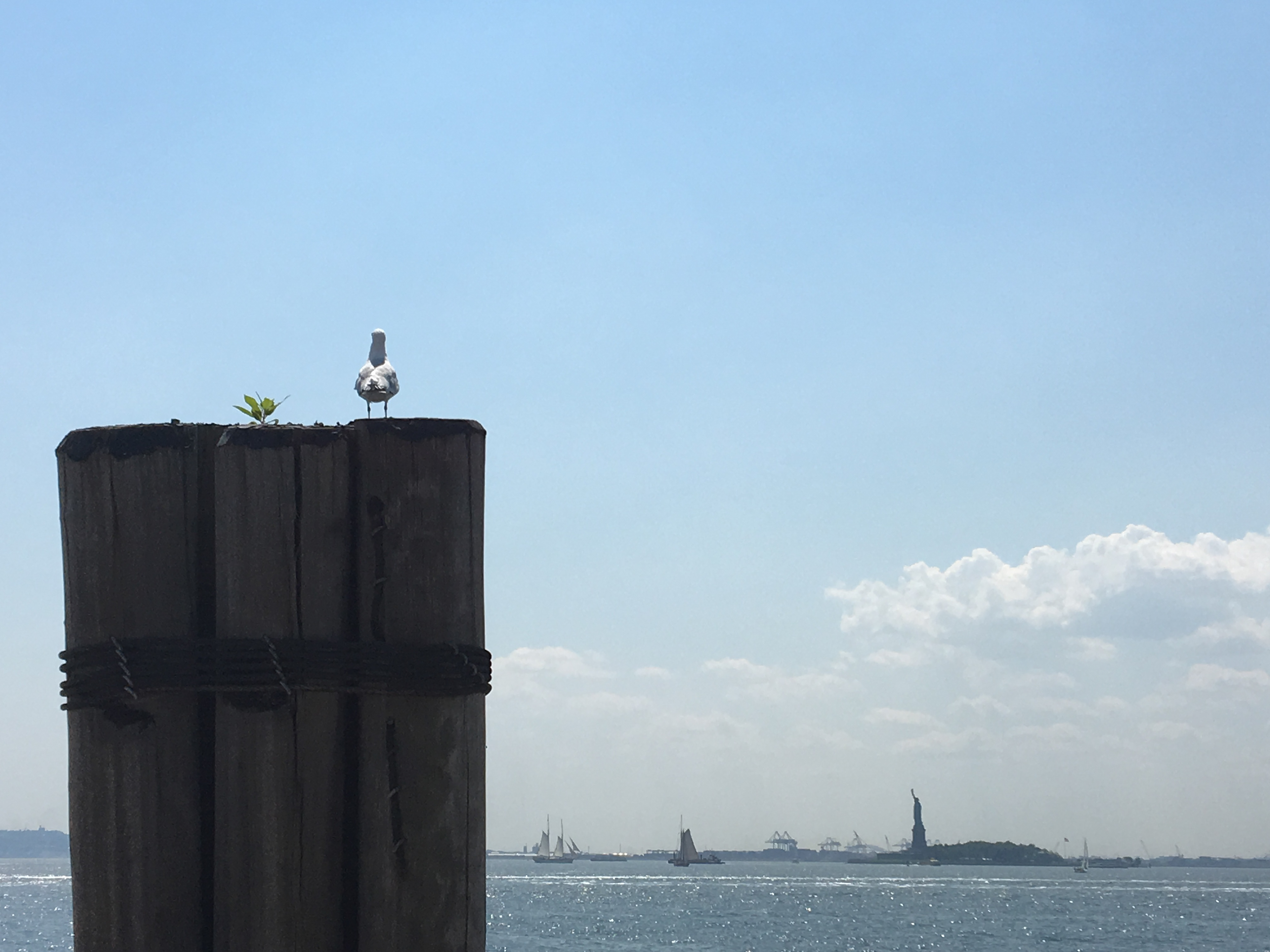 View from Battery Park