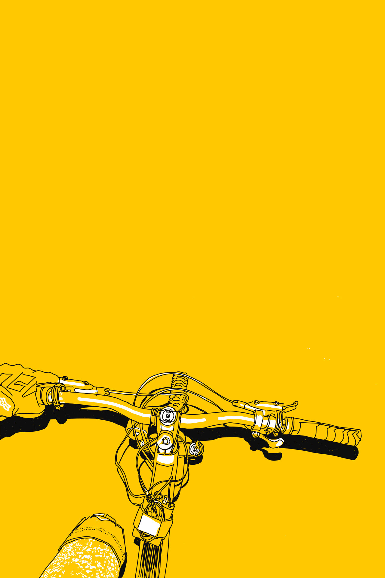 VTT by Night in Vallée de Chevreuse