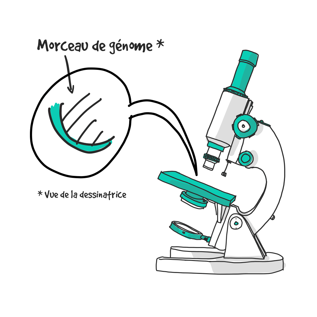 Morceau de génome au microscope / Infographie sur les différents tests Covid19 - Collectif Kezacovid19
