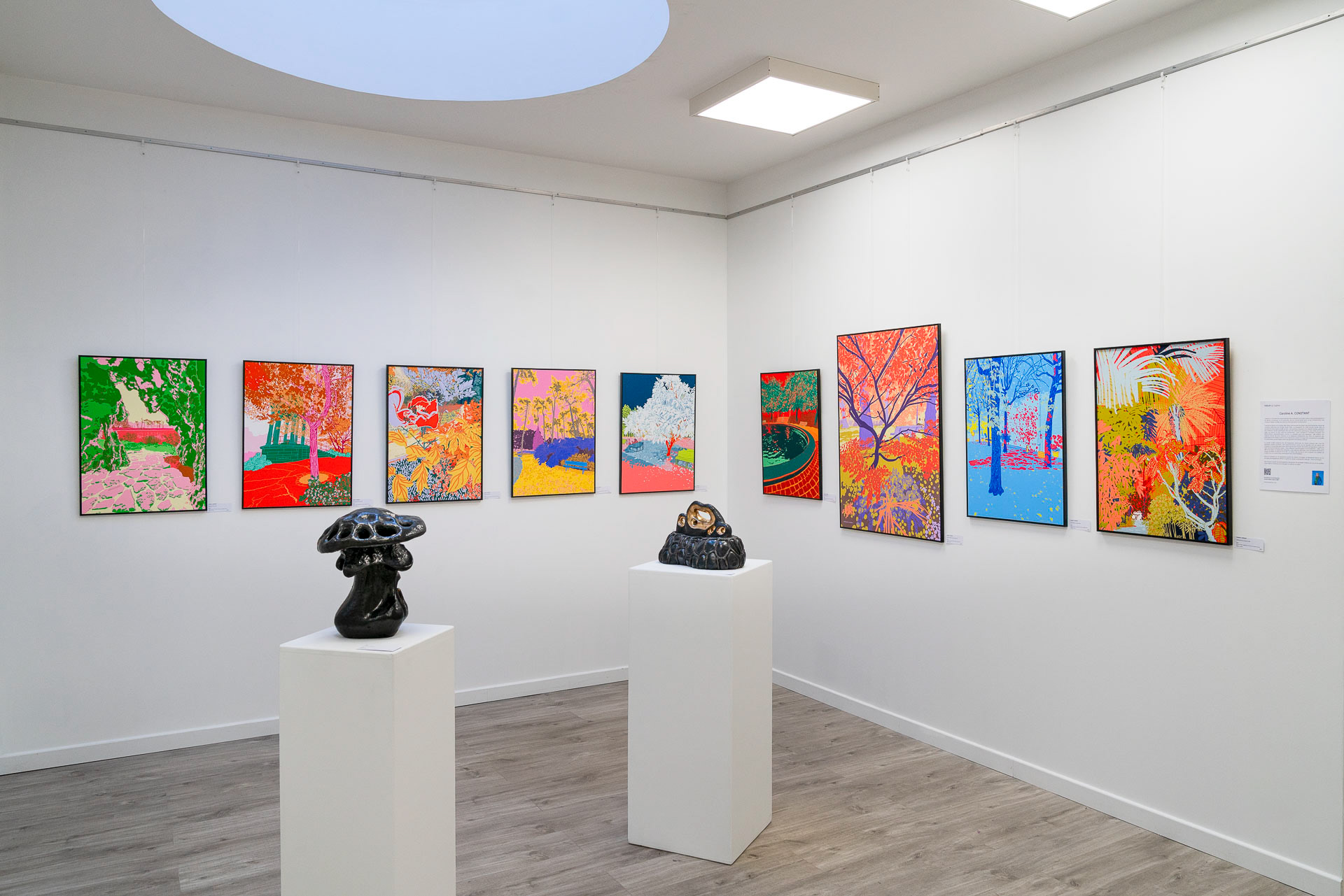 Série "Jardins secrets" à "Hélium, la Galerie"