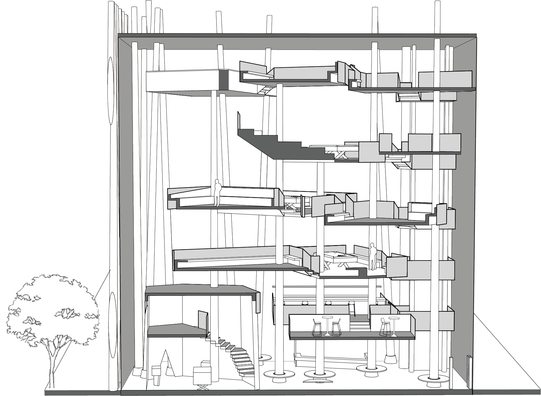 Long Section