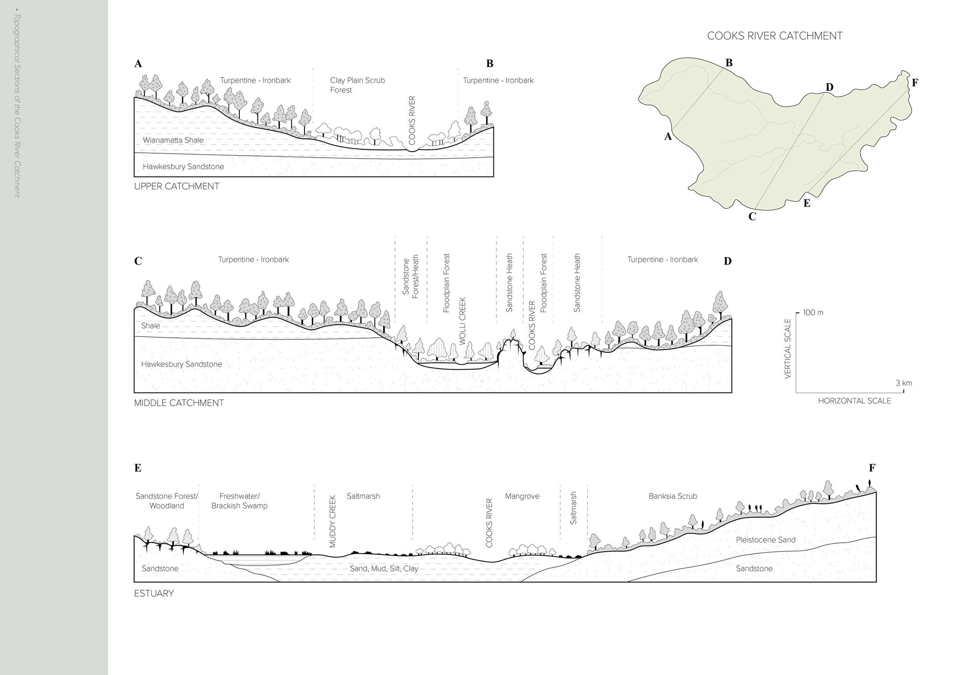Topographical Sections