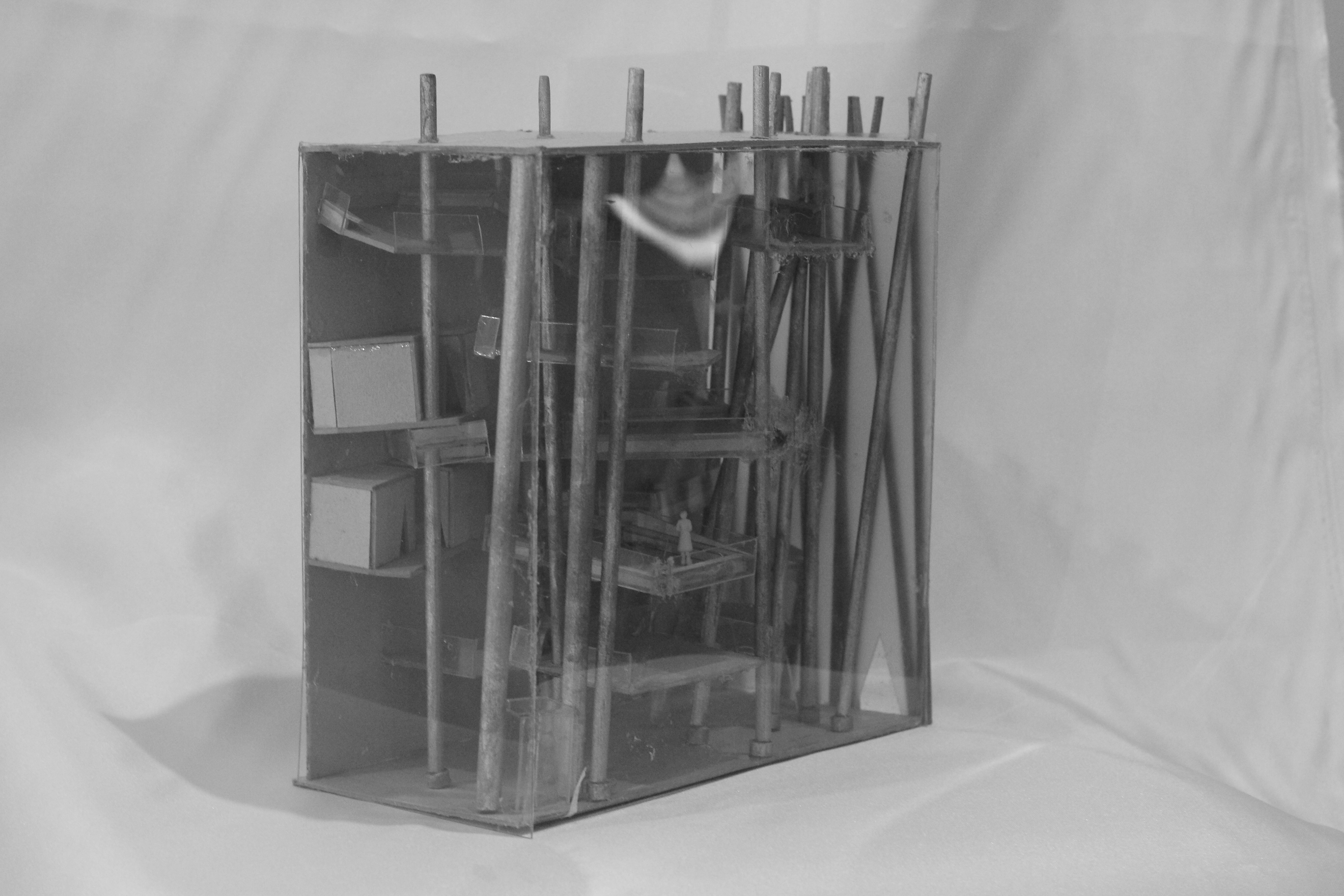 1:100 Model