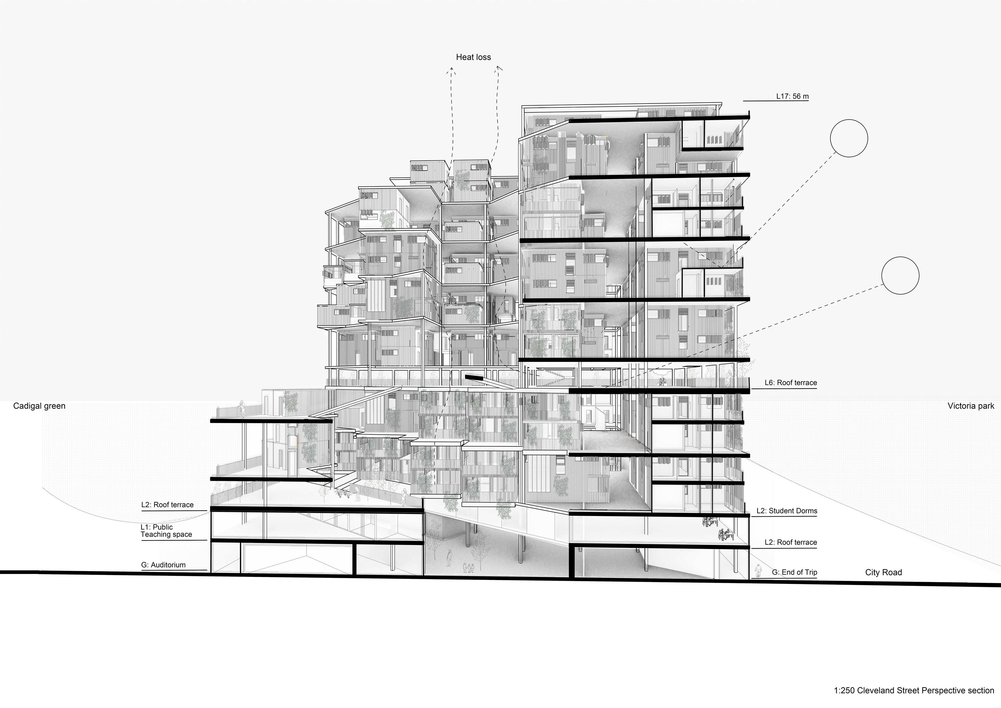 Section Perspective