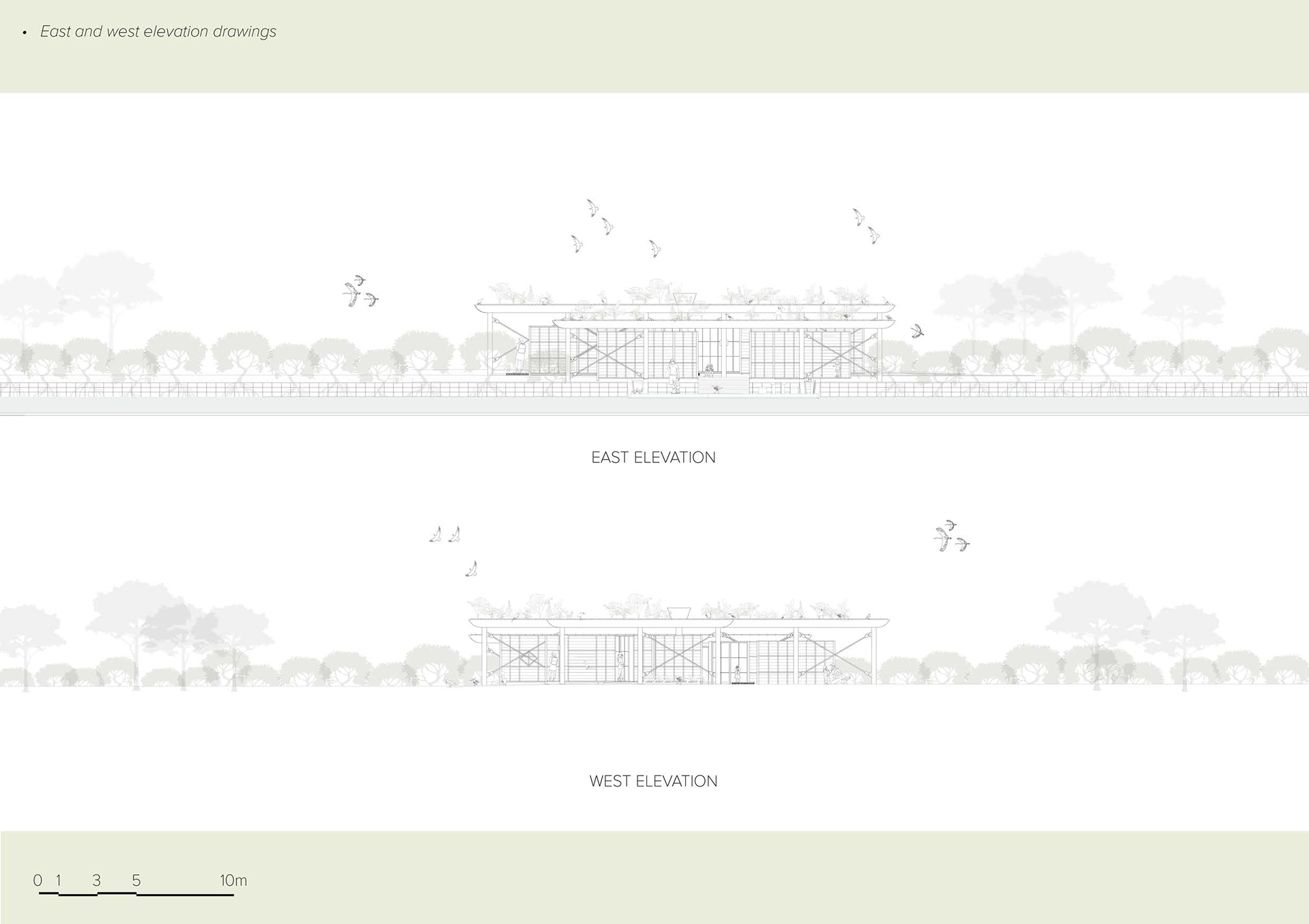 Elevation