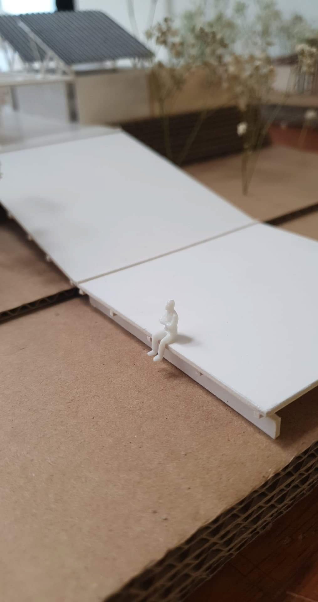 1:100 Model
