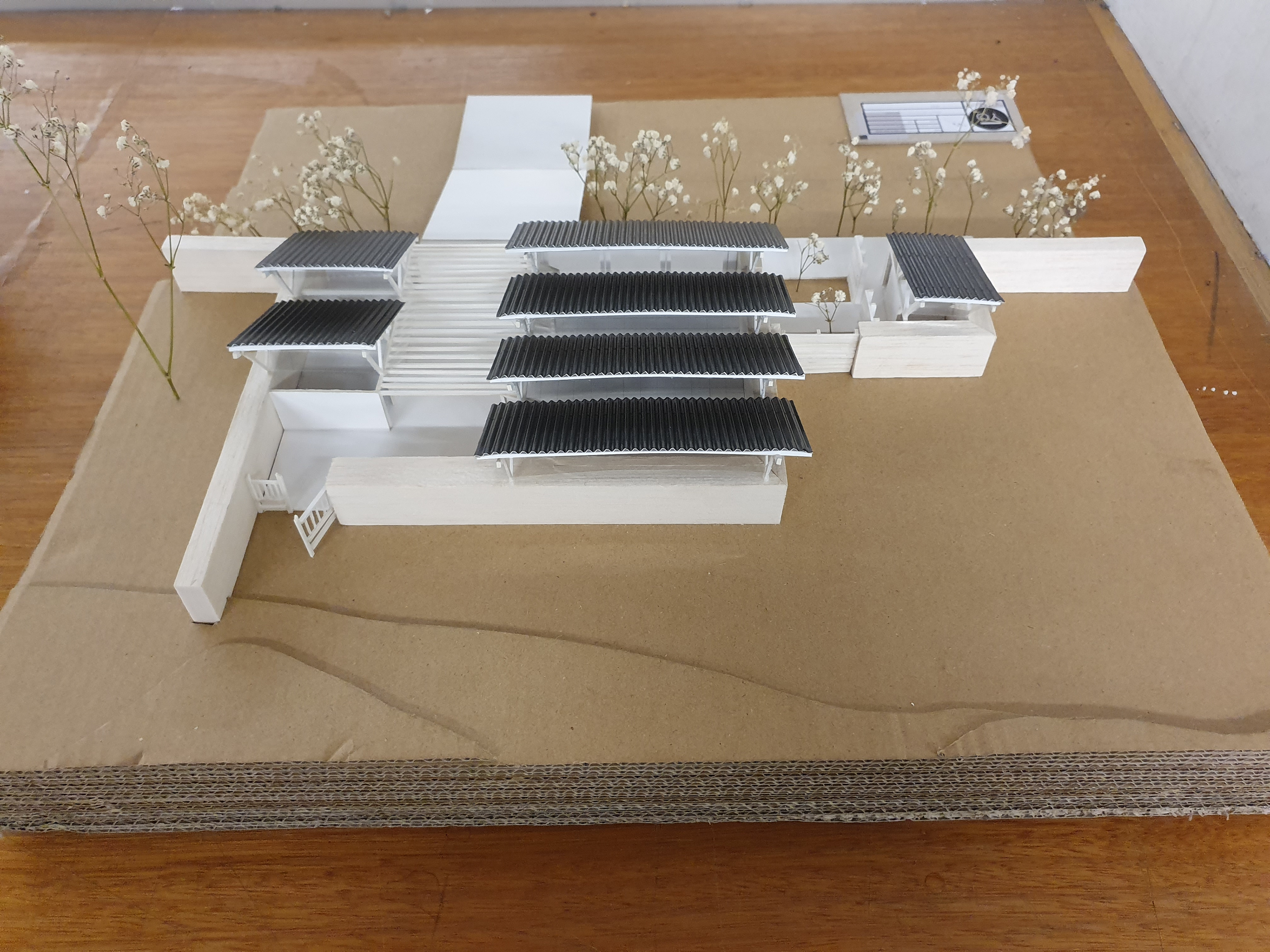 1:100 Model Back
