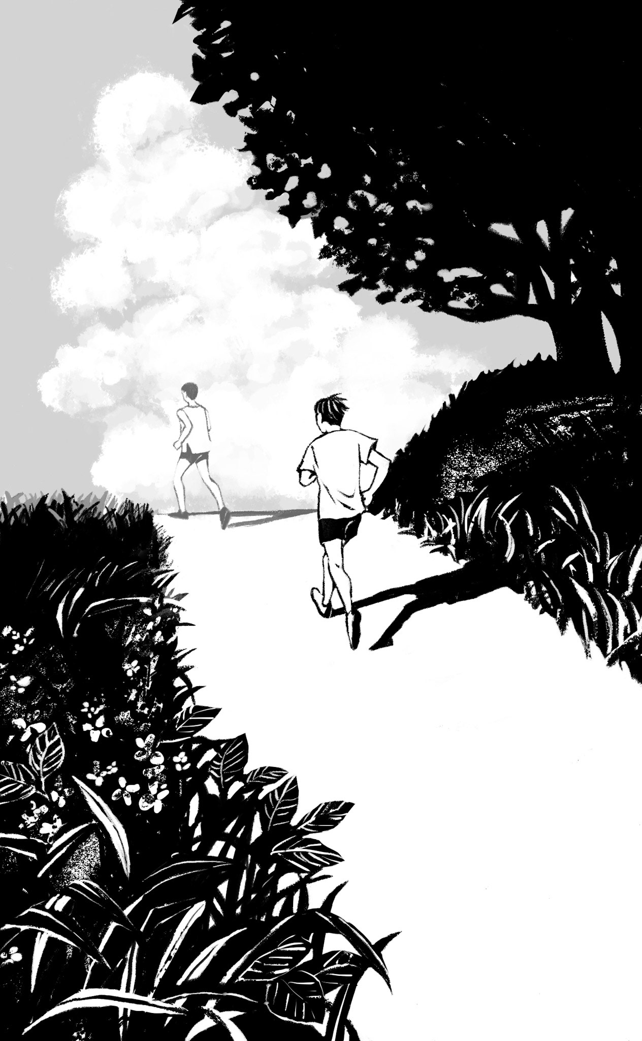 ルビコン川を渡る/藤つかさ著　扉絵