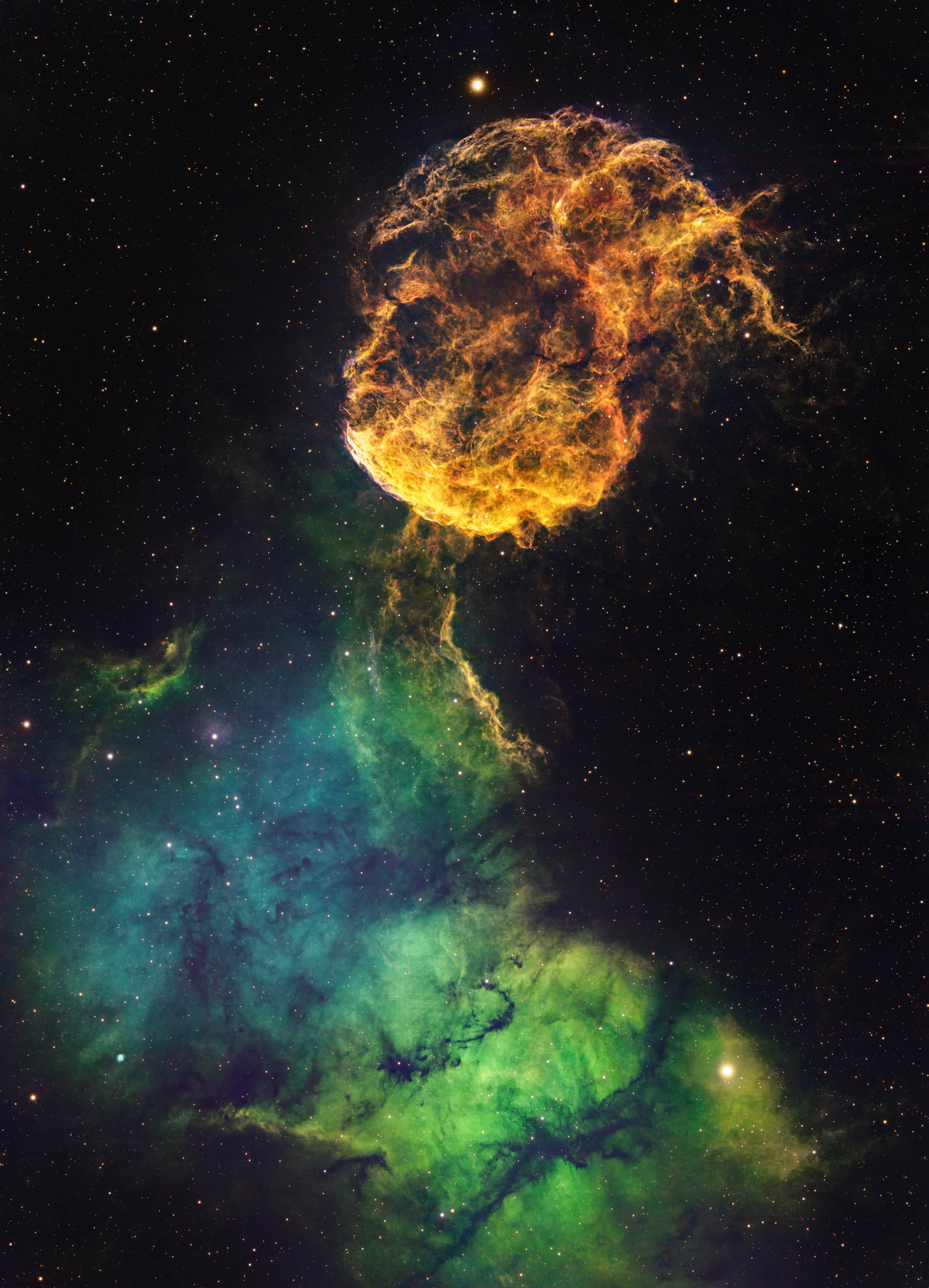 the jellyfish supernova remnant 