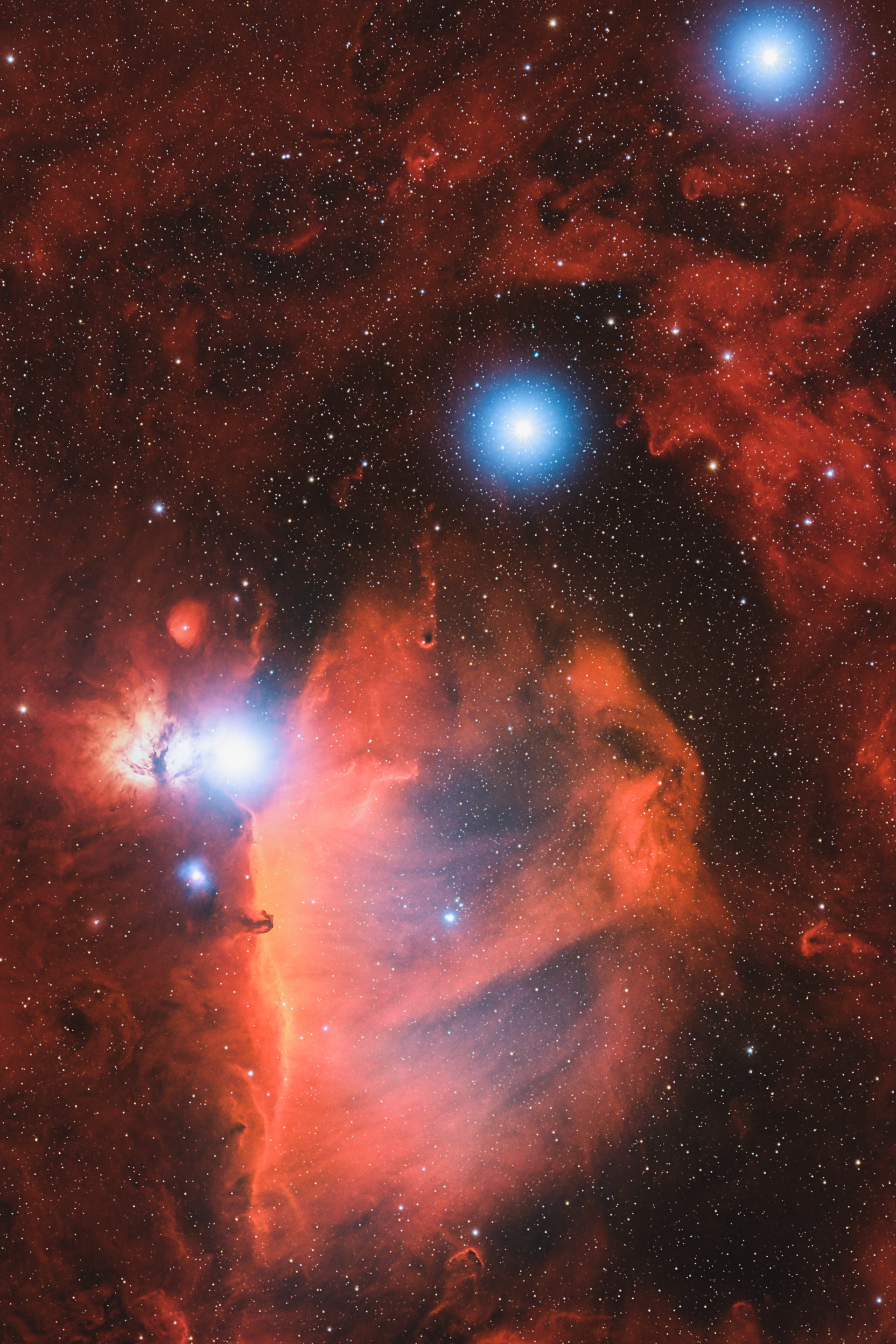 the horsehead and flame nebula complex