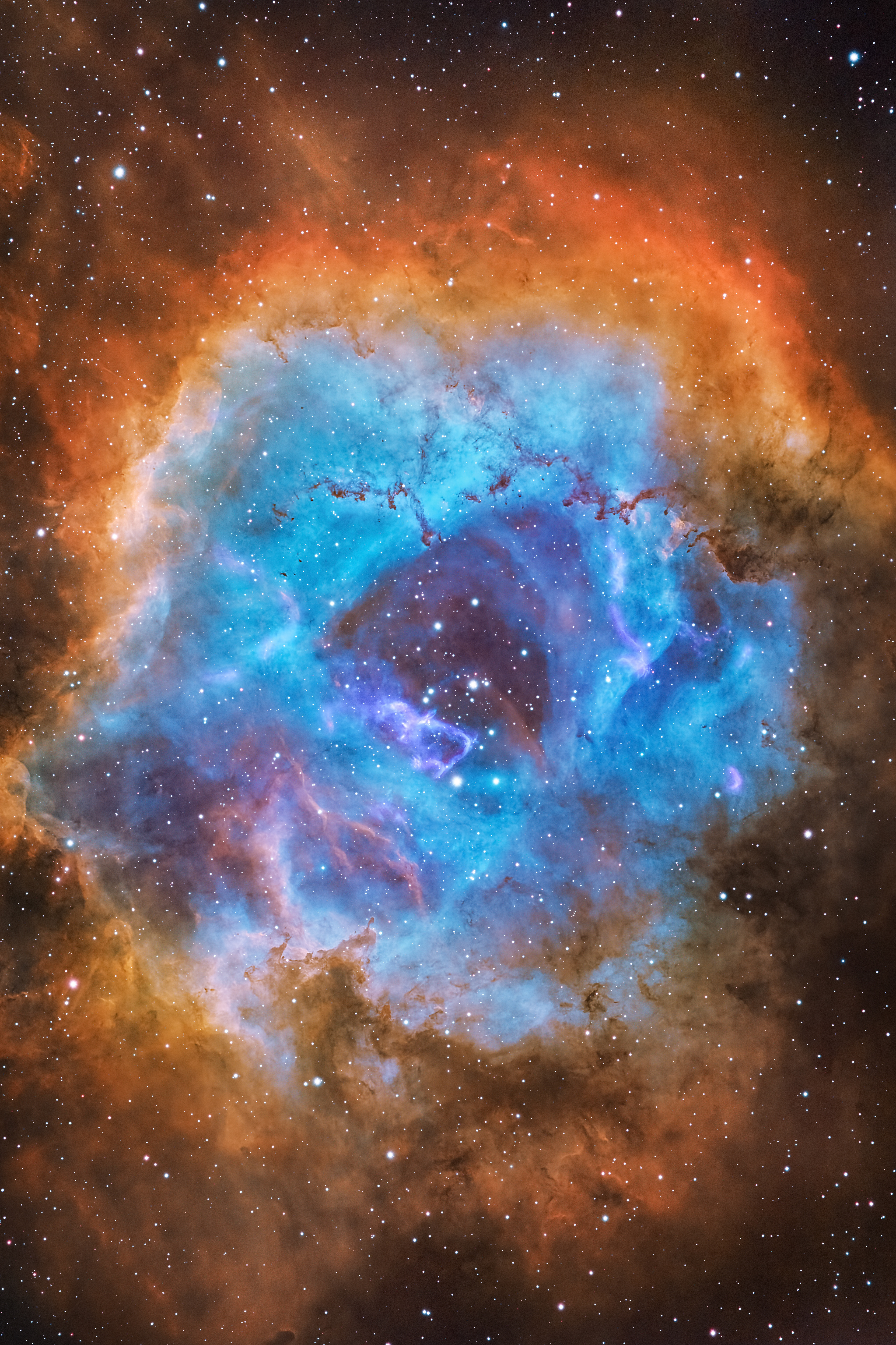 the rosette nebula