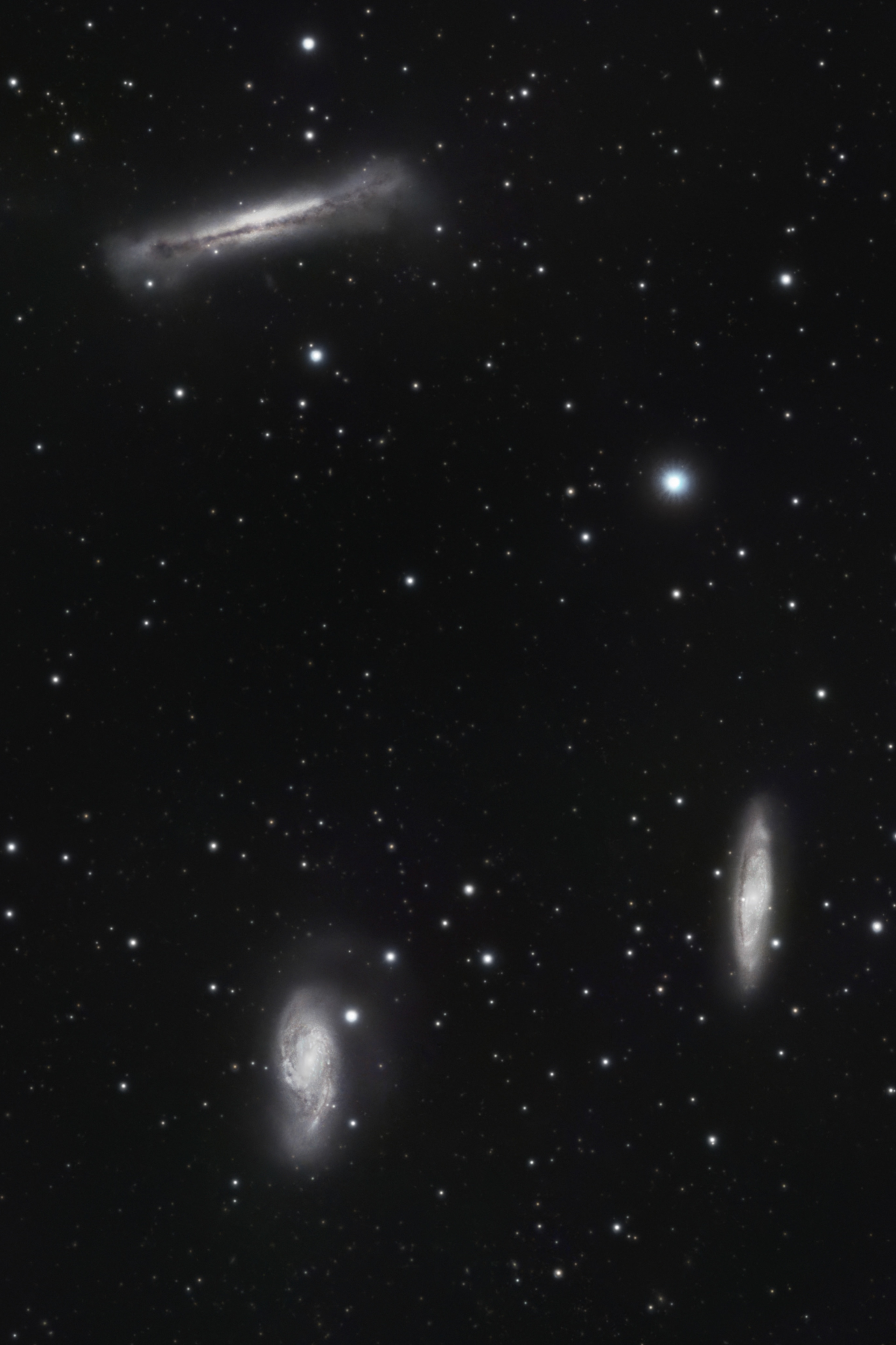 the leo triplet