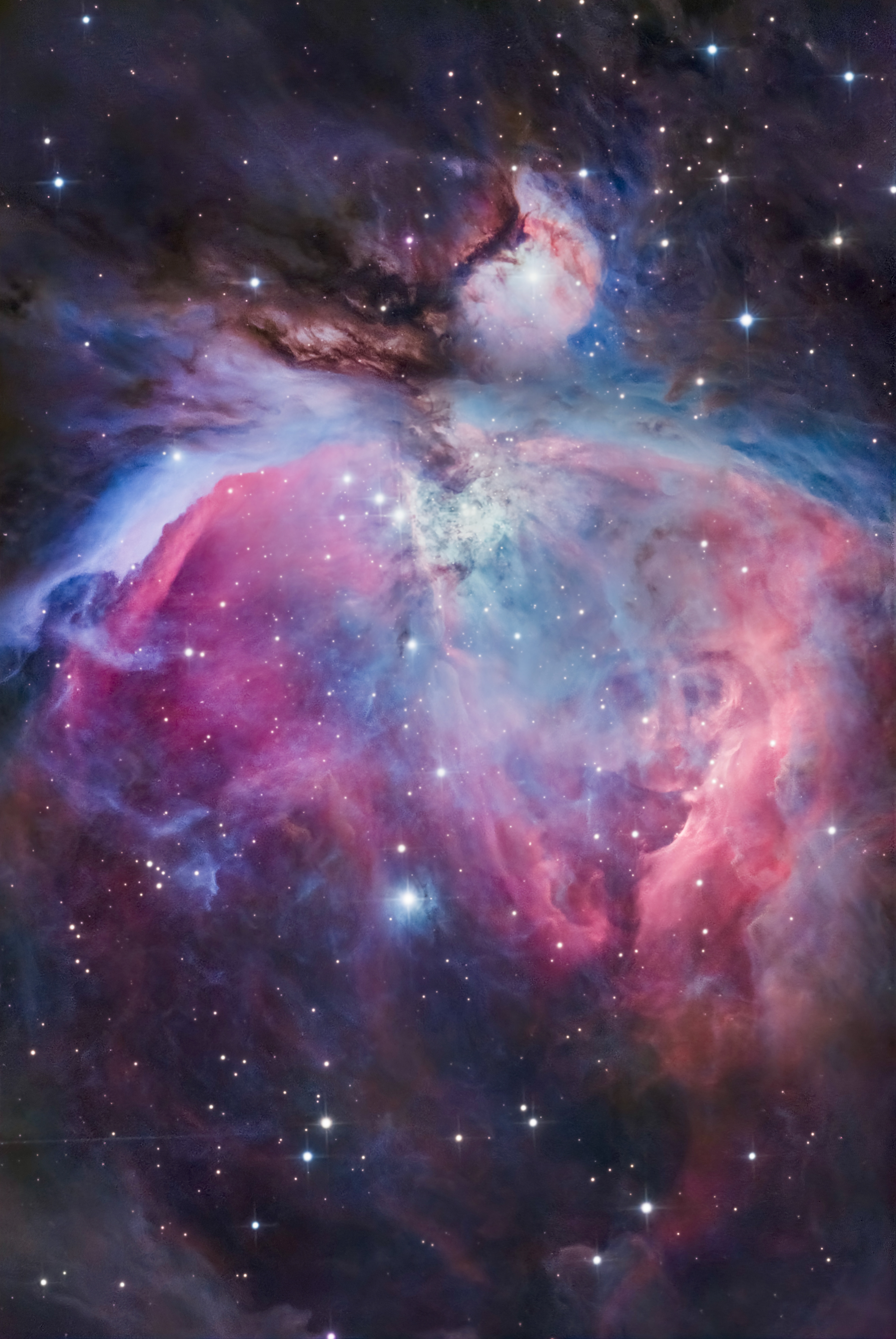 THE GREAT ORION NEBULA