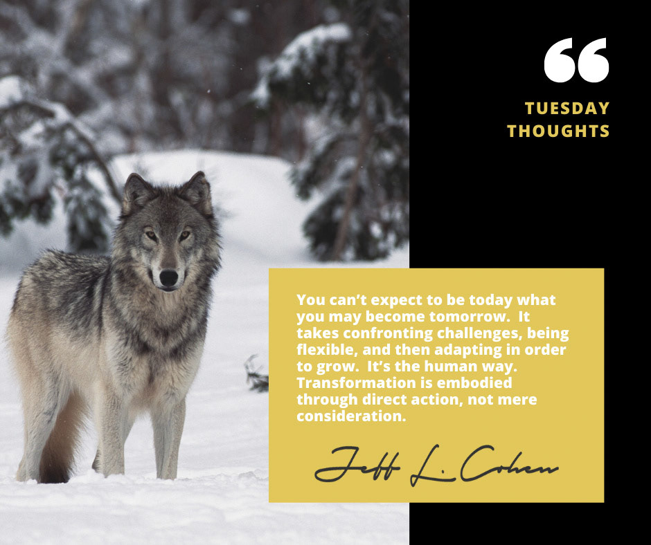 Jeff L. Cohen (author) | Facebook/Instagram Post