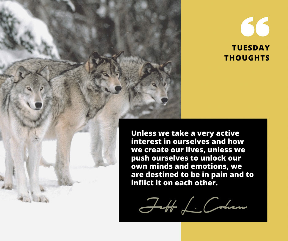 Jeff L. Cohen (author) | Facebook/Instagram Post