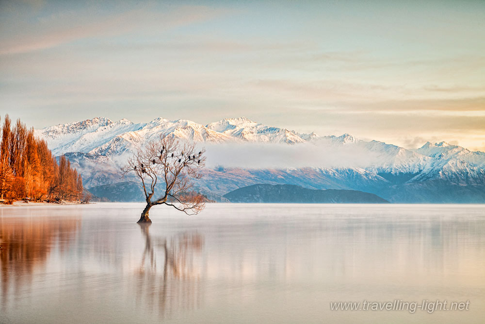 Winter Morning, Lake Wanaka