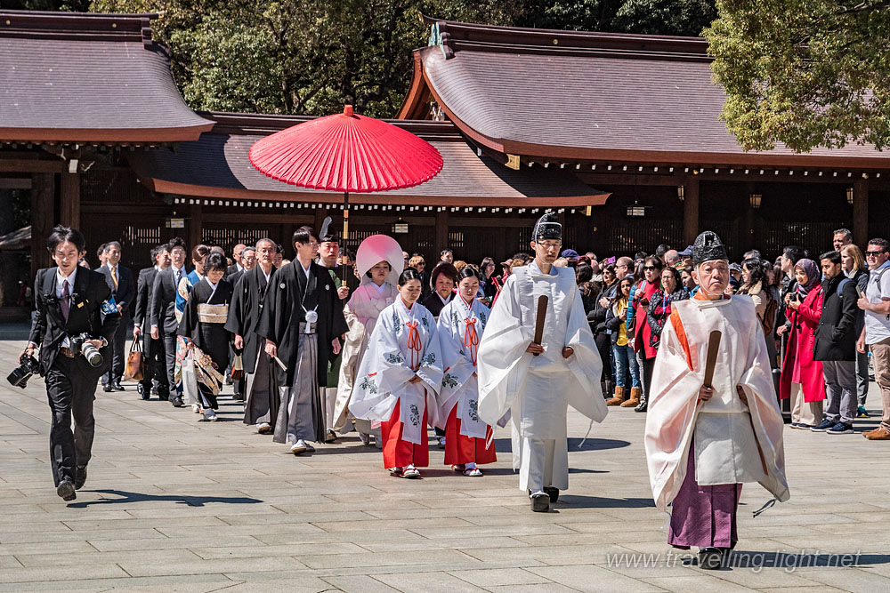 Shinto Wedding Procession, Meiji Jingu, Tokyo