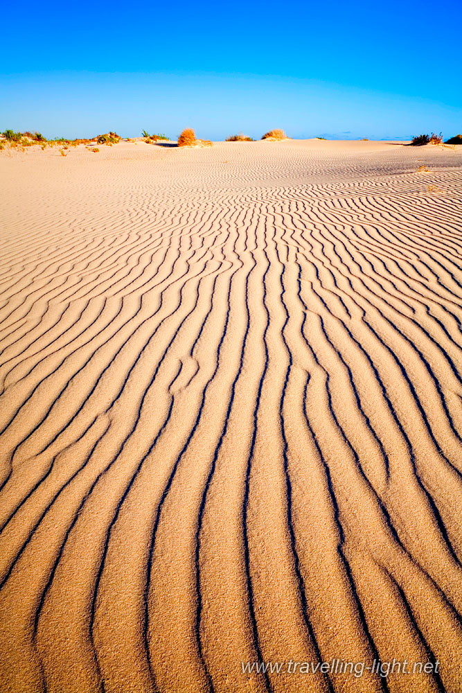 Dunes at Eucla, WA
