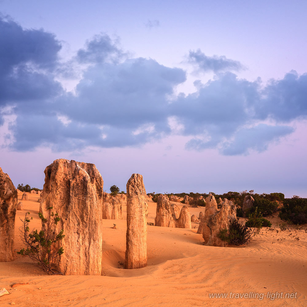 Pinnacles Desert, WA