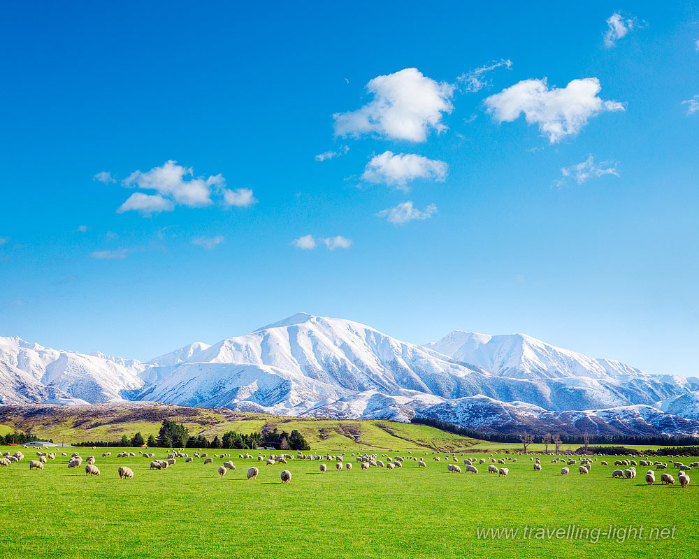 Canterbury Skyline