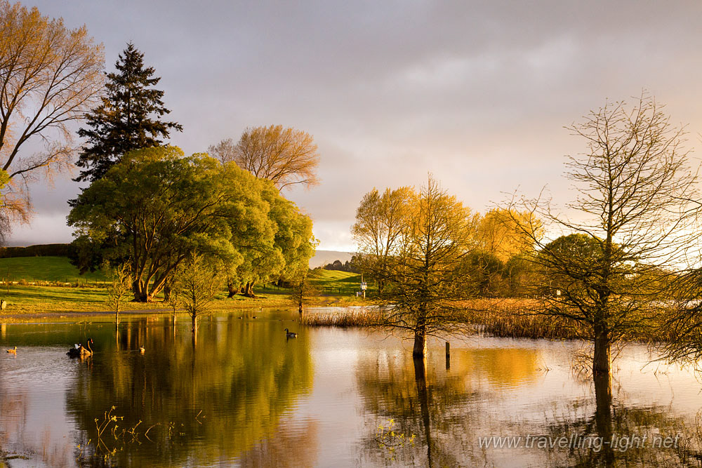 Guy Roe Reserve, Lake Rerewhakaaitu