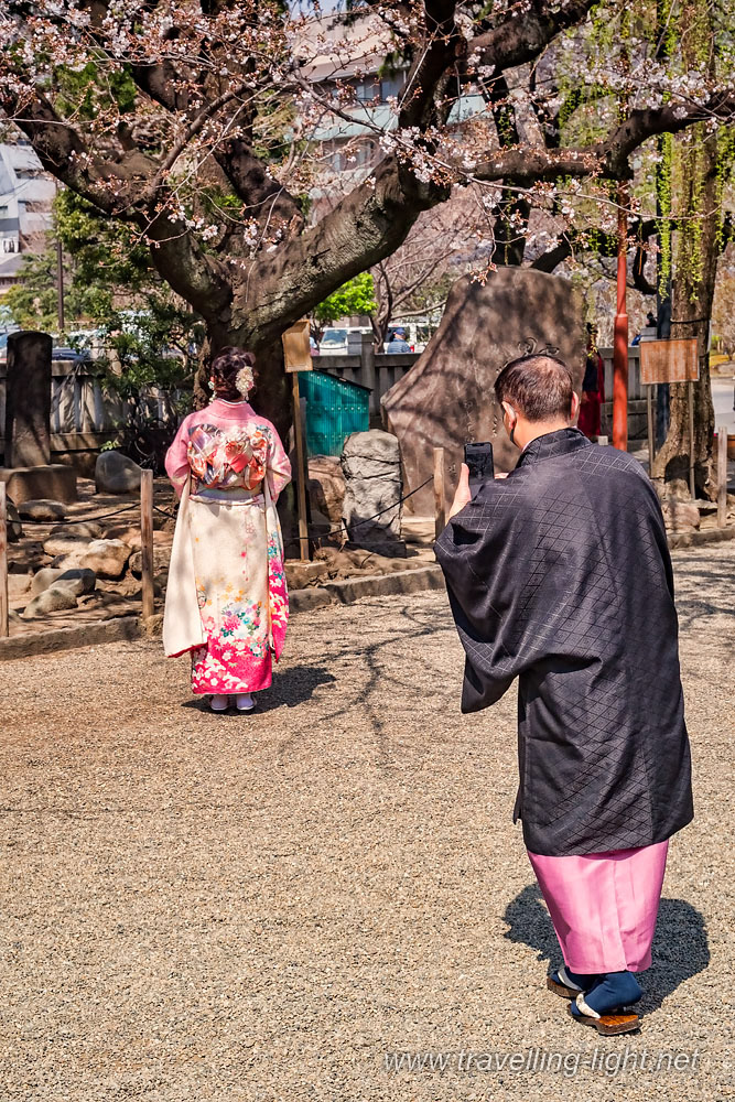 Photographing in Cherry Blossom Season