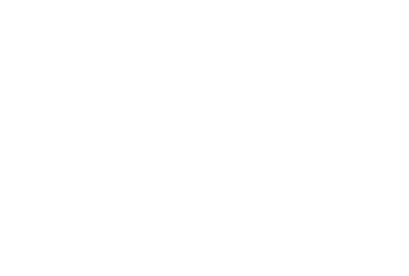 Liviu Stavarache