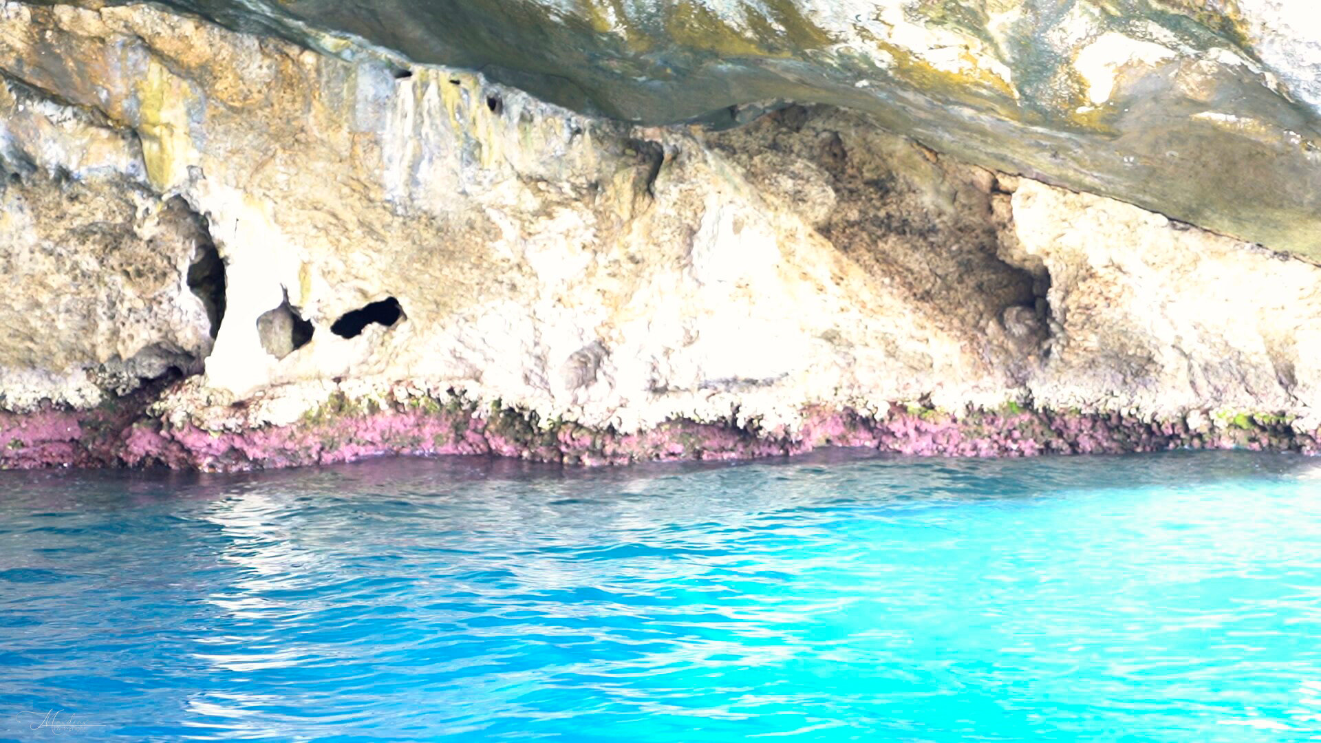 Isola di Dino - grotta - Praia a Mare