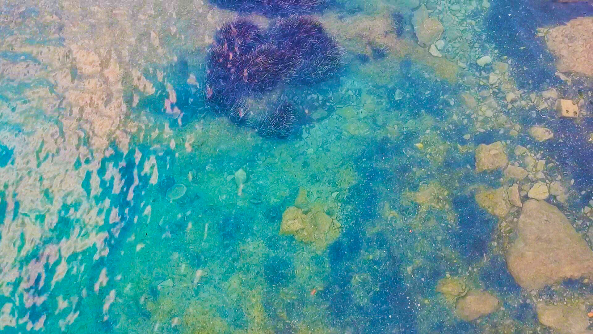 Isola di Dino - Praia a Mare