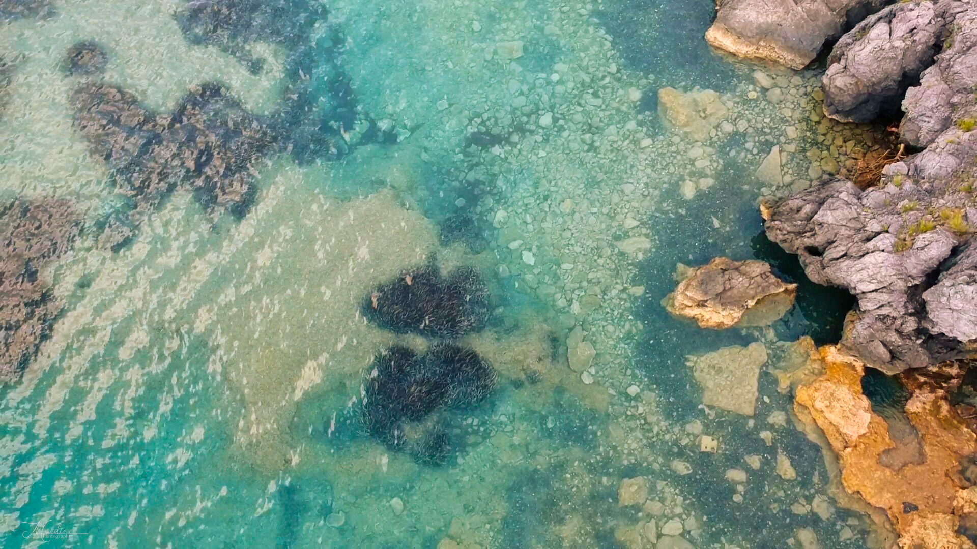 Isola di Dino - Praia a Mare