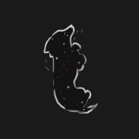 Spirit dog animation