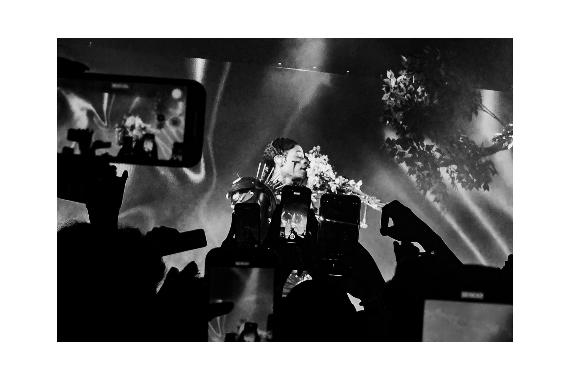 Teezo in Philly, 2024