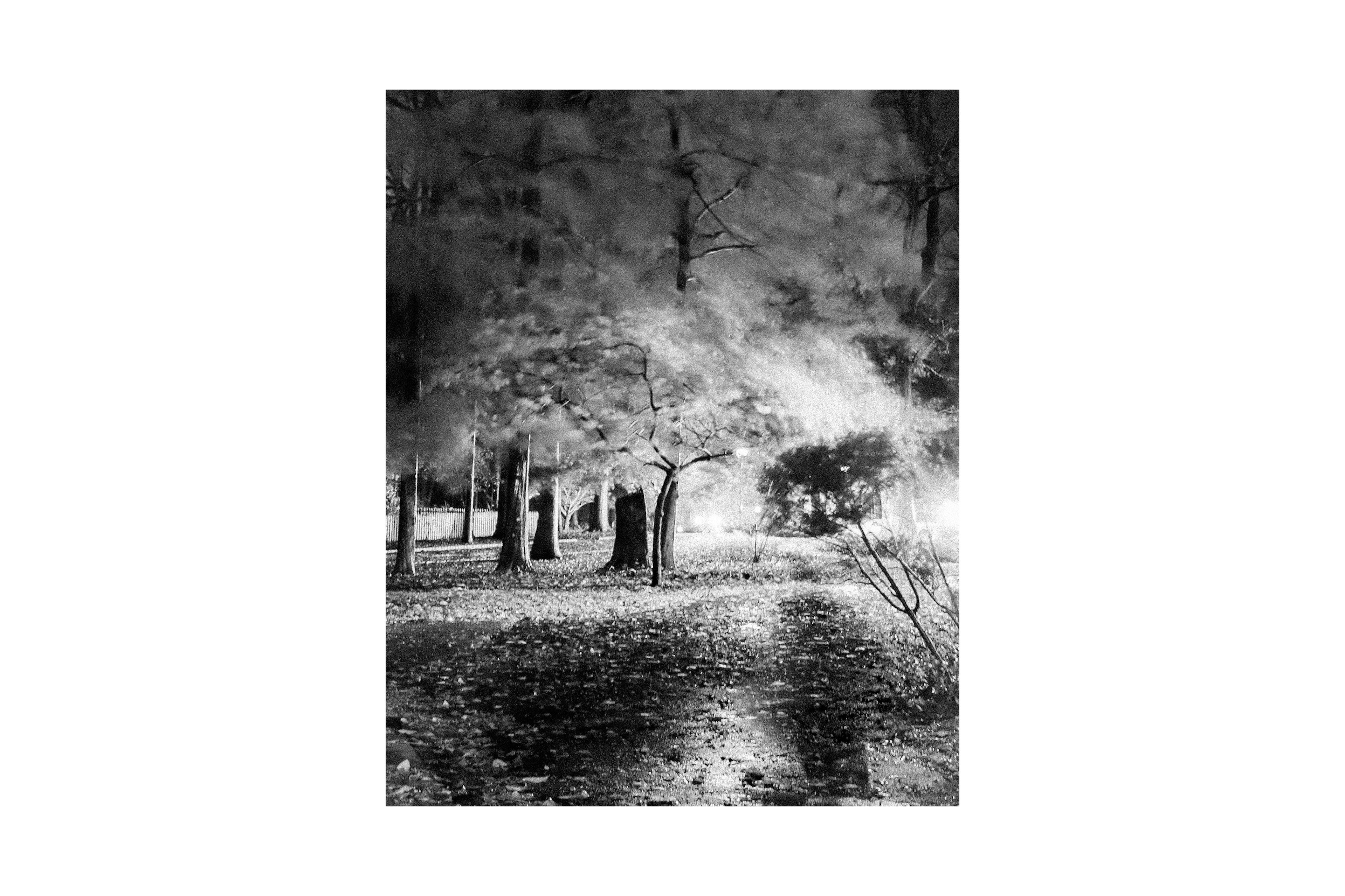 Untitled, November, 2019