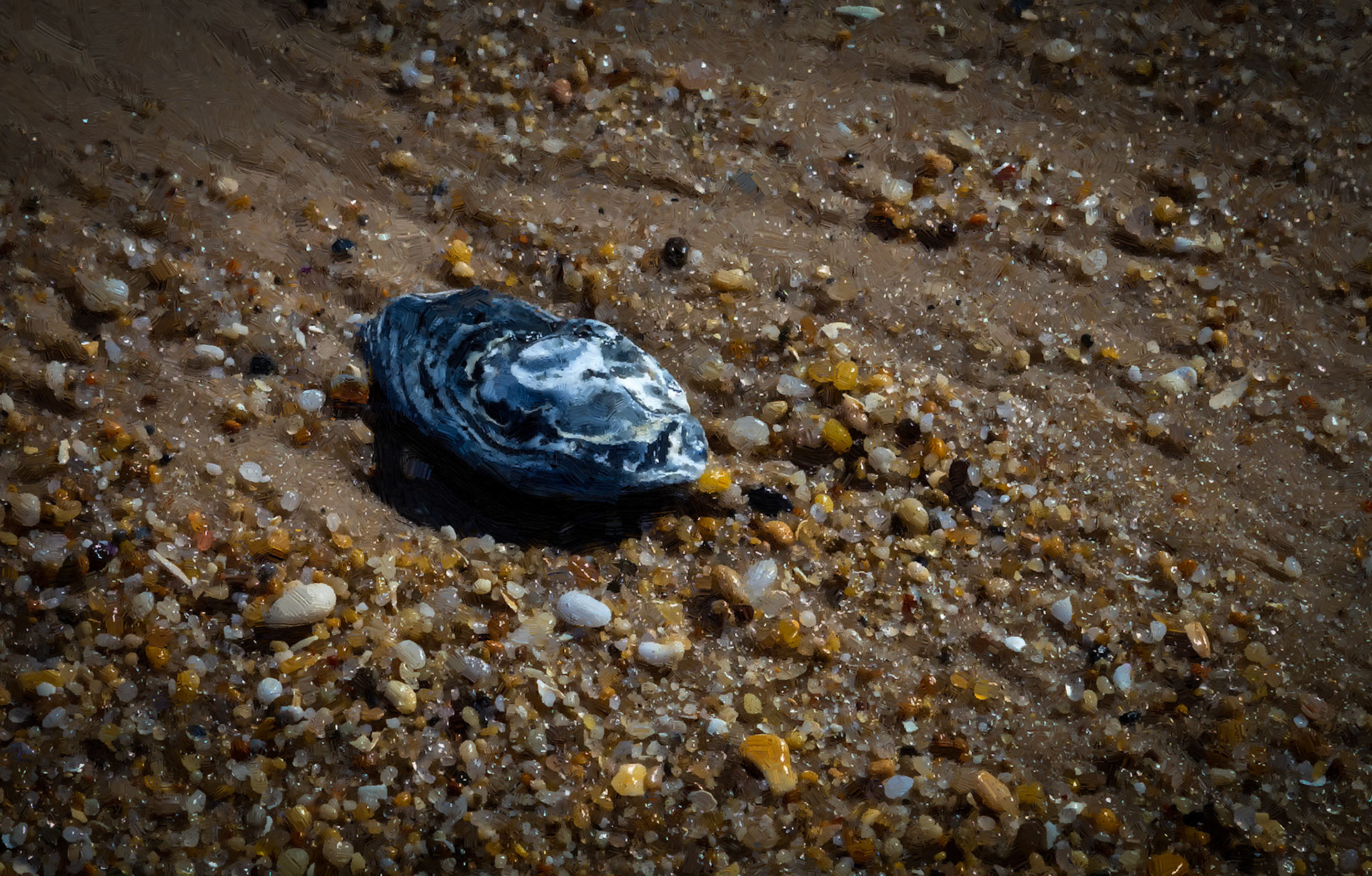 Oyster Shell