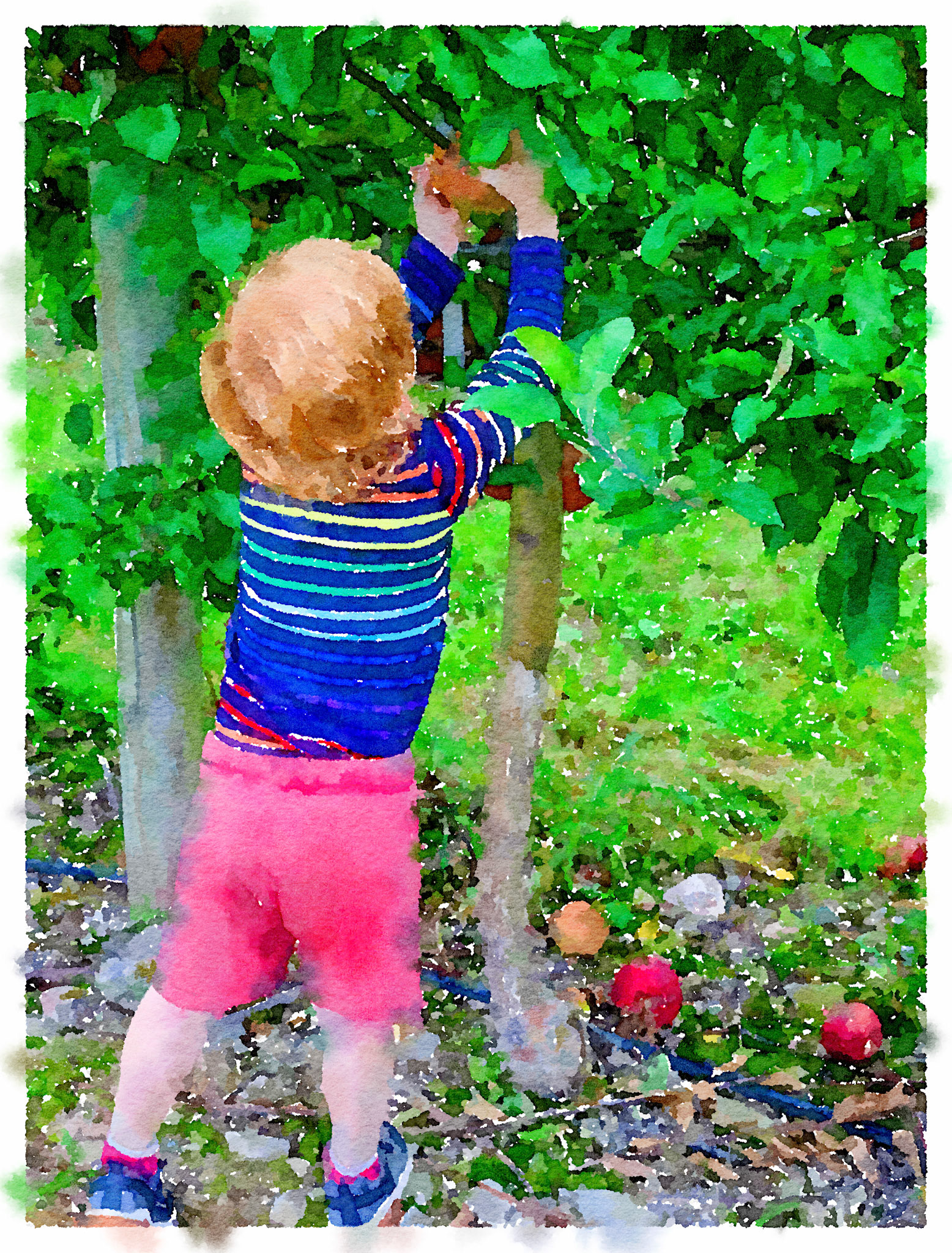 Preset Style = VibrantLightness = Auto-ExposureSize = JumboBorder = Border