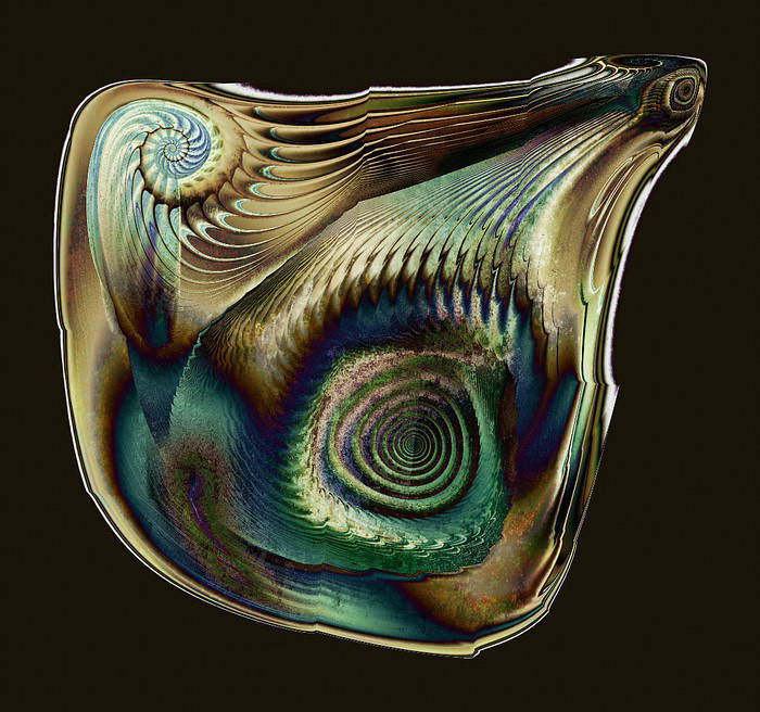 Whirlionus by Tina Oloyede