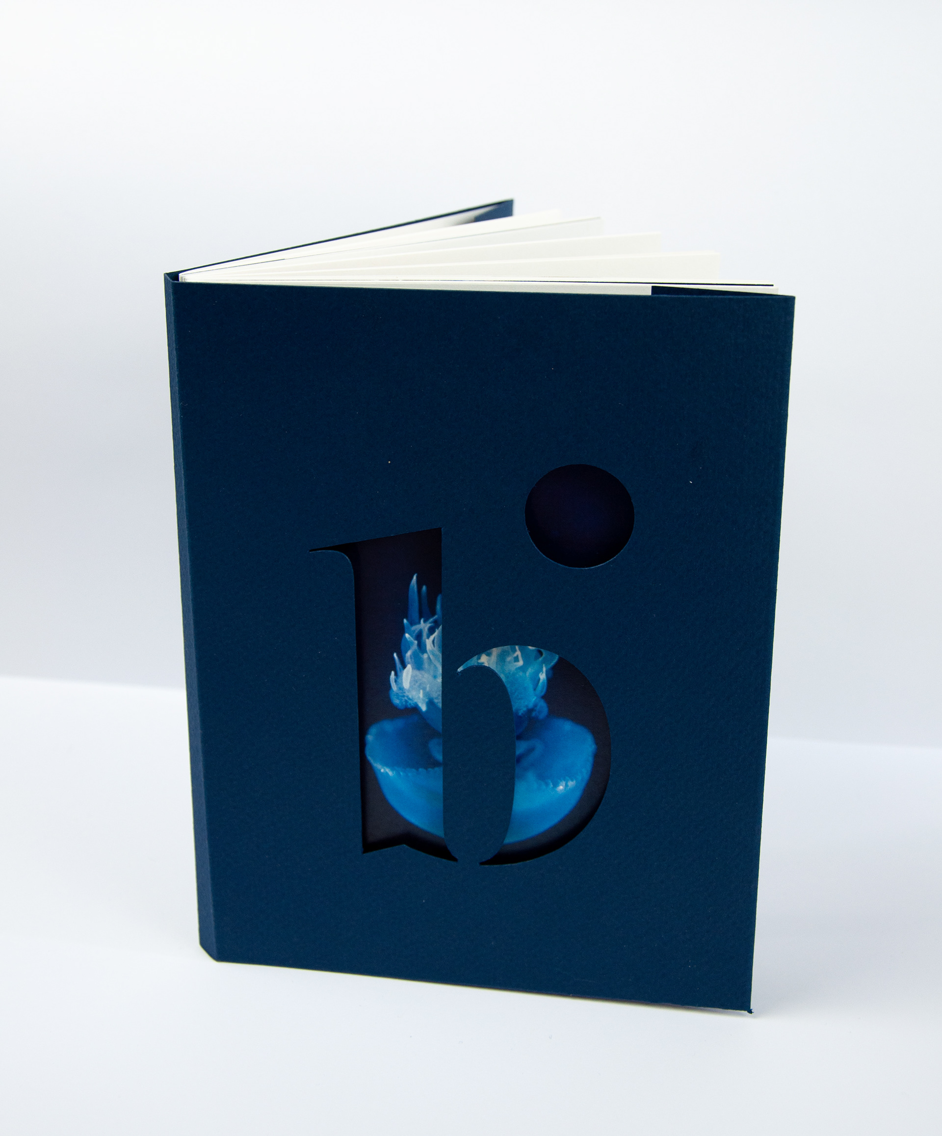 Brine: Issue 3 Cover Sleeve