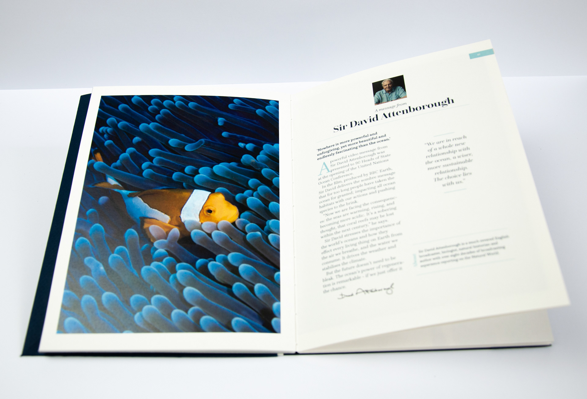 Column 3: A Letter from Sir David Attenborough