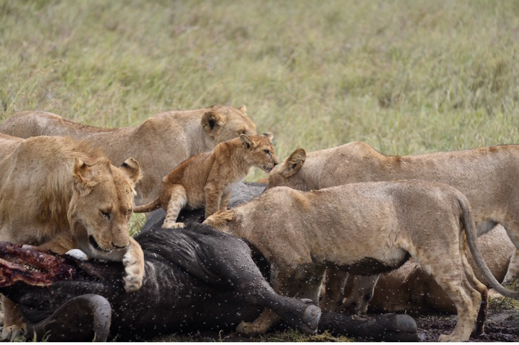 Tanzania, 1