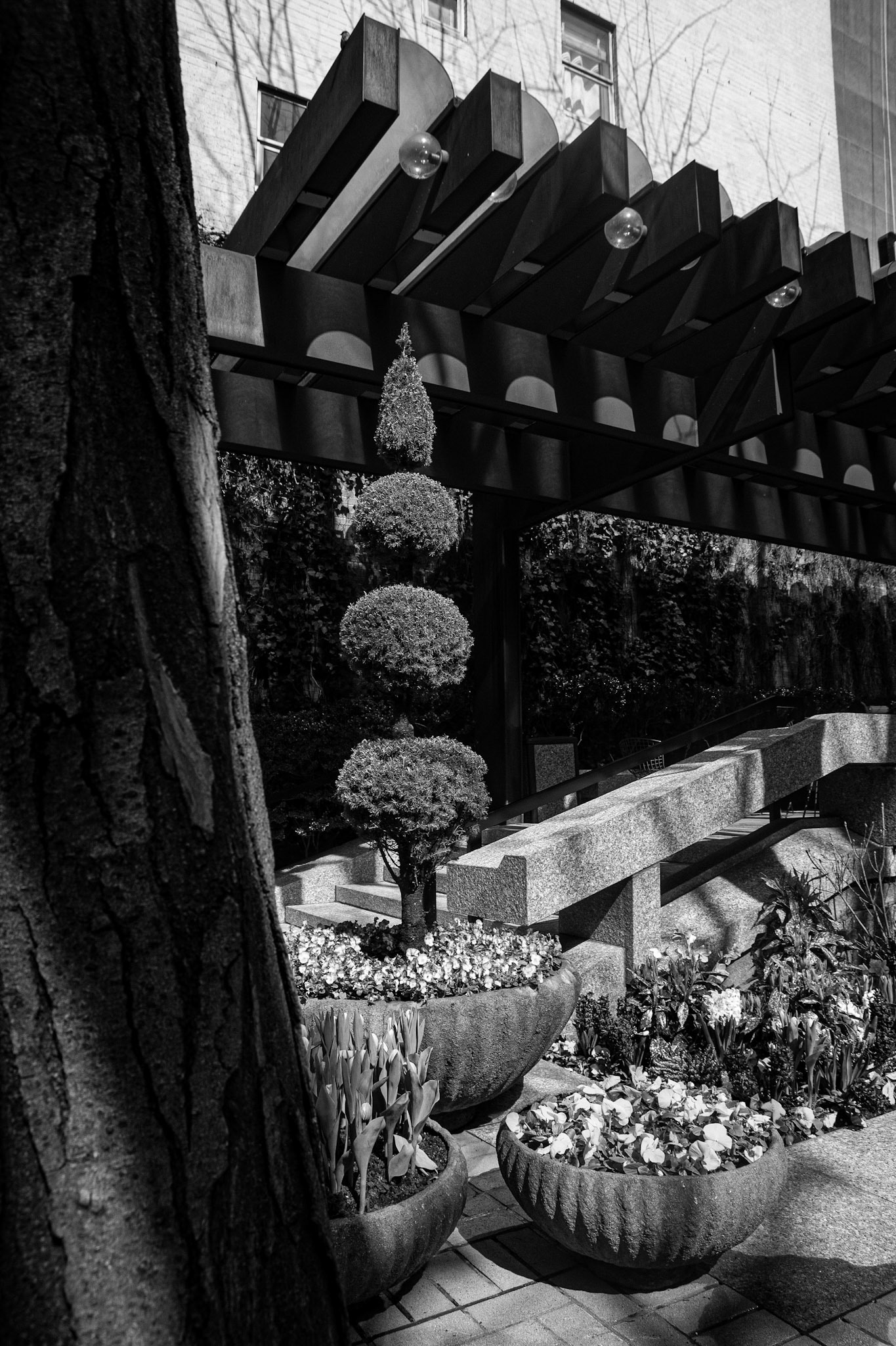 Greenacre Park 2