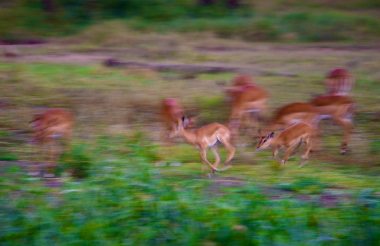 Tanzania, 2