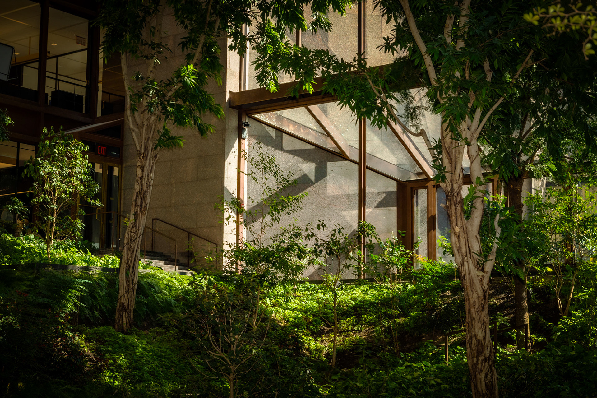 Ford foundation 2