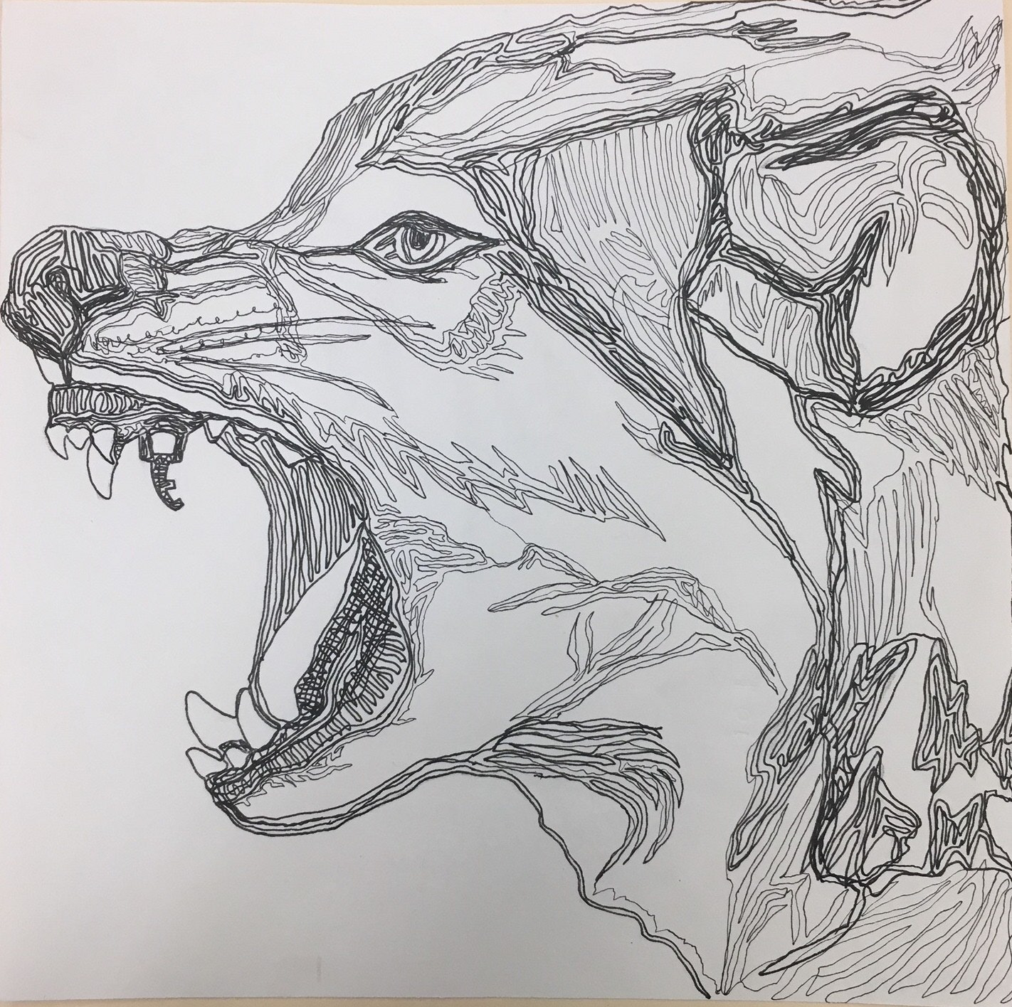 Continuous Single Line drawing of a wolf growling. All done with one continuous line.
