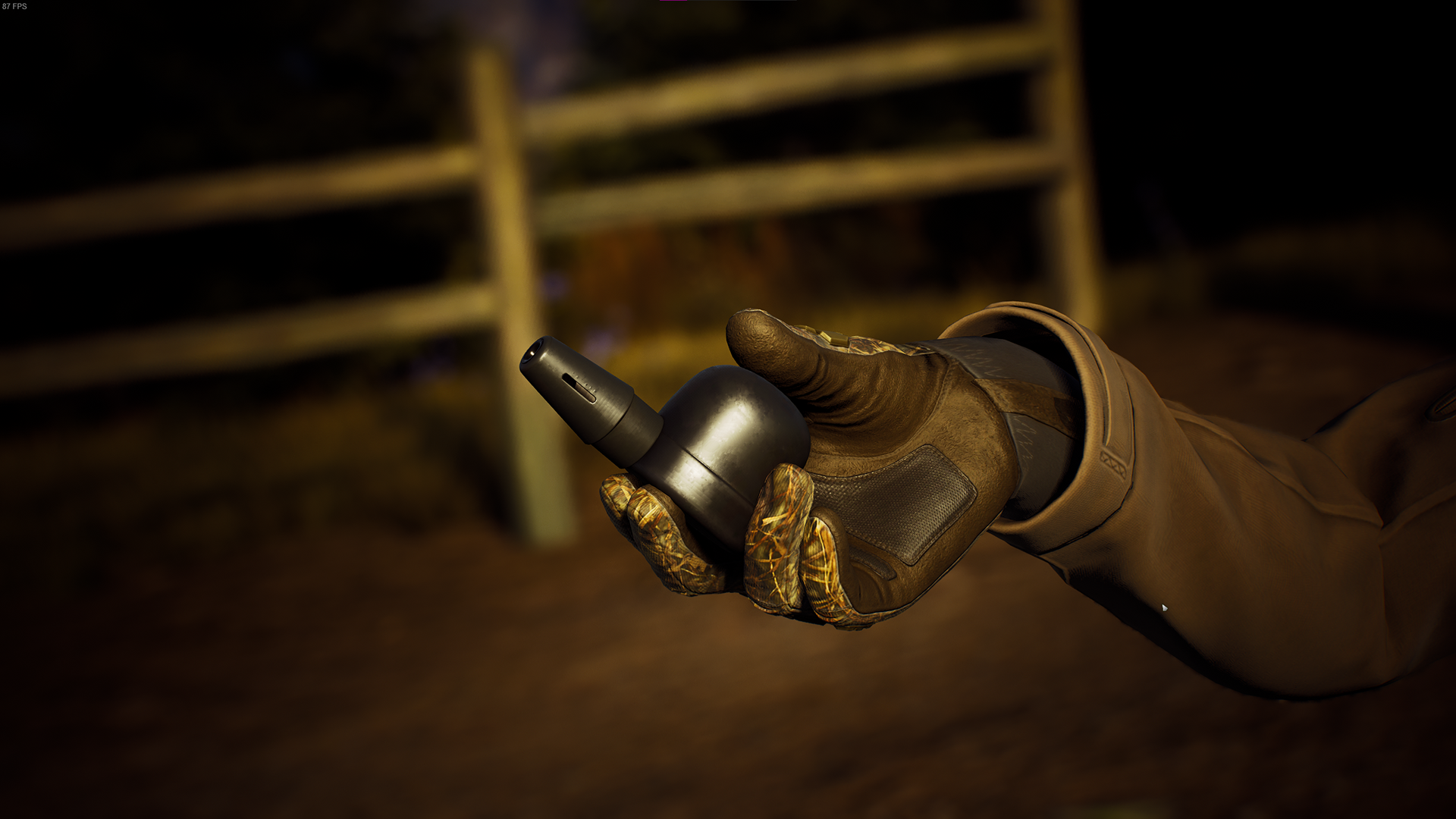 Way of the Hunter(In-game picture)