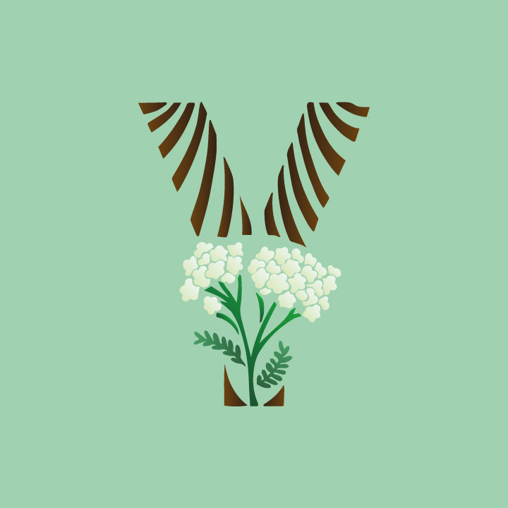 Yarrow