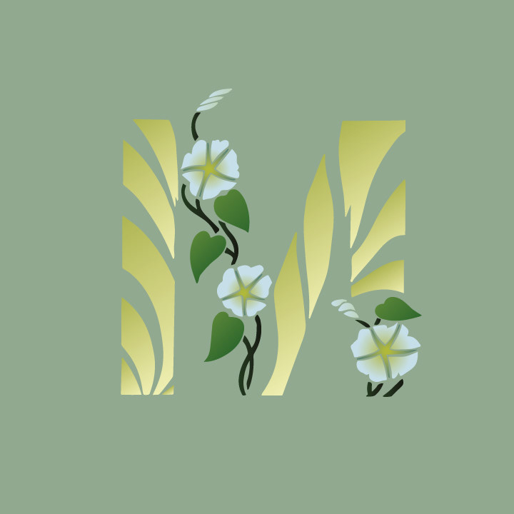 Moonflower