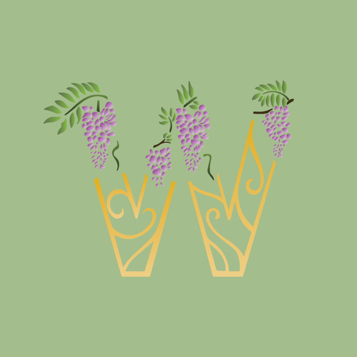 Wisteria