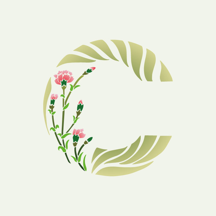 Carnation