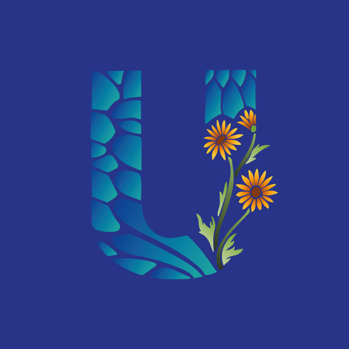 Ursinia
