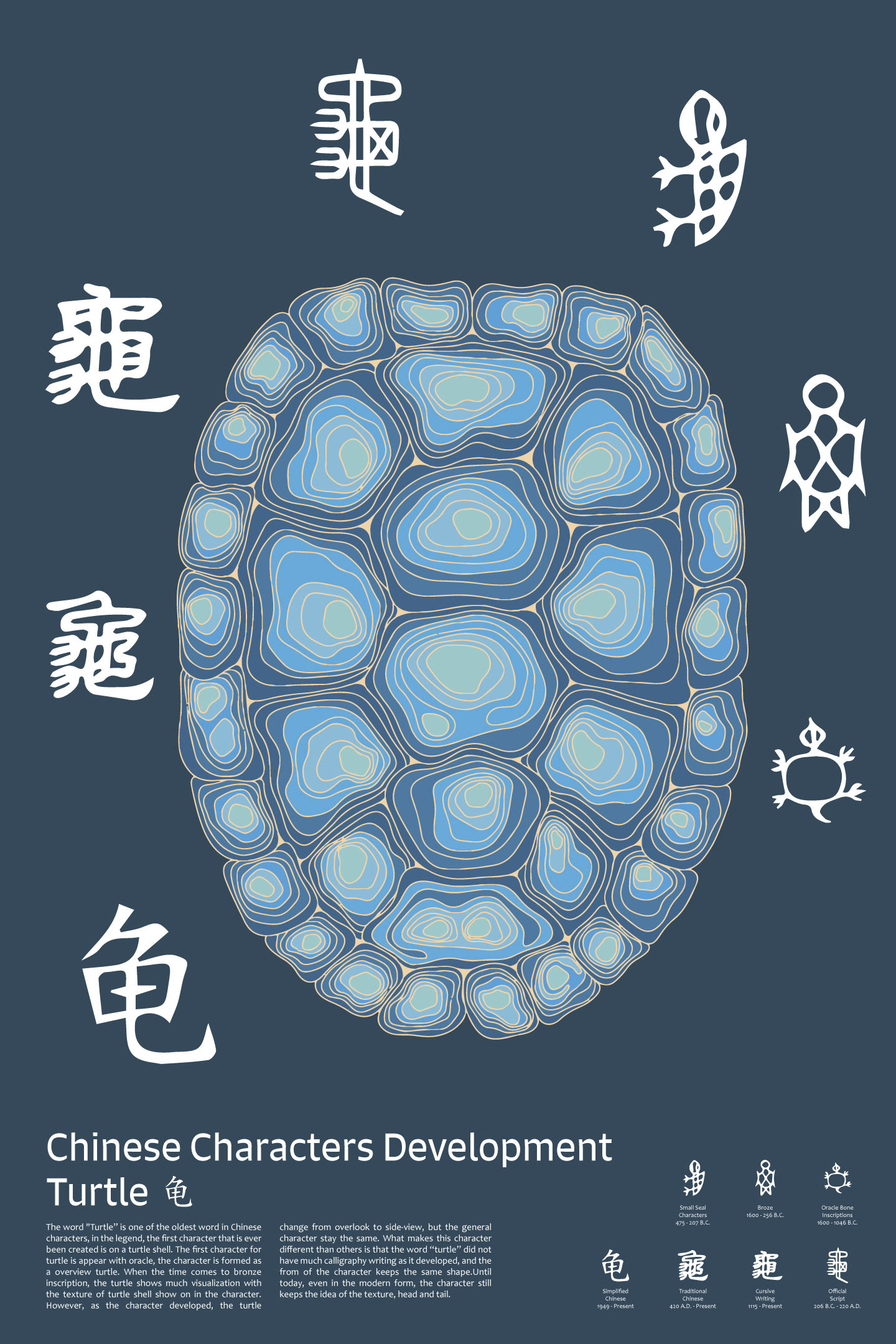 Tortoise